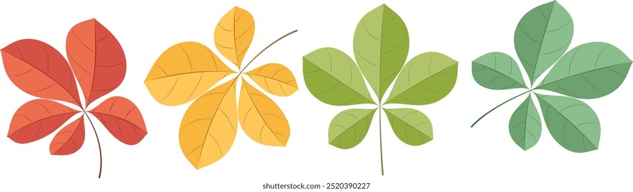 Set of Autumn Leaves on white background. Set of Chestnut leaves. Vector illustration