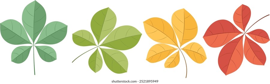 Conjunto de hojas de otoño sobre fondo blanco. Conjunto de hojas de castaño. Ilustración vectorial