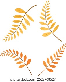 Set of Autumn Leaves on white background. Vector illustration