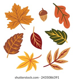 Set autumn leaves, orange red and yellow collection cartoon foliage vector isolated on white