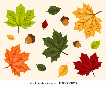 Set of autumn leaves over bright background