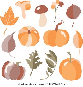 Set of autumn leaves and pumpkins. Fall set. Vector illustration.