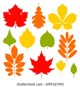Set of autumn leaves silhouette isolated on white background. Vector illustration