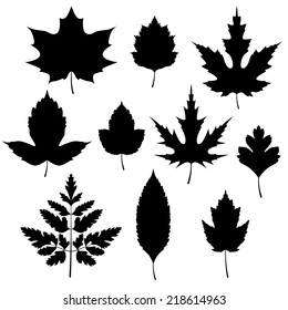 Set of autumn leaves silhouettes. Vector illustration.