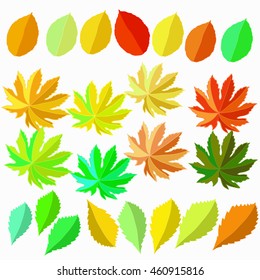 set of autumn leaves, summer vector illustration