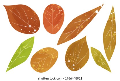 Set of autumn leaves, transparent watercolor style illustration
Vector illustration