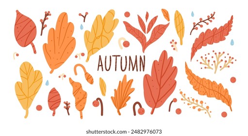 Set of autumn leaves in various shapes and colors with berries and raindrops. Textured fall forest elements. Vector hand drawn kit illustration isolated on white background.