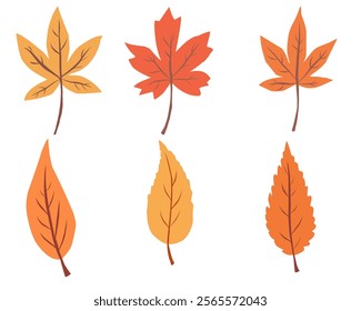 Set of autumn leaves in various shapes and warm colors, including orange, red, and yellow. Perfect for seasonal designs, fall themes, and nature illustrations