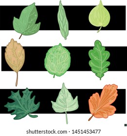 set of autumn leaves in vector