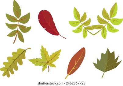 set of autumn leaves, vector collection