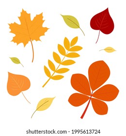 Set of autumn leaves. Autumn. Vector graphics
