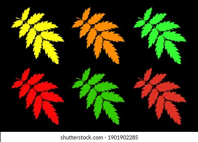 Conjunto de hojas de otoño. Ilustración vectorial.
