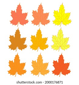 set of autumn leaves, vector illustration
