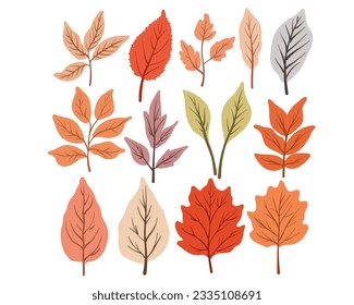 Set of autumn leaves, vector illustration