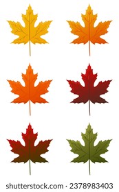 A set of autumn leaves. Autumn. Vector illustration.