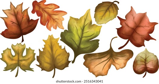 Conjunto de hojas de otoño Ilustración vectorial