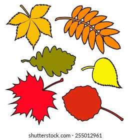 Set of autumn leaves. The vector illustration.