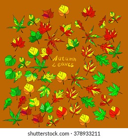 Set of autumn leaves. Vector illustration.