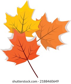 Conjunto de ilustraciones vectoriales de hojas de otoño
