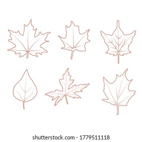 Set of autumn leaves. Vector line illustration of different maple leaves and other trees. Use for patterns, cards, poster design element, package, advertising.