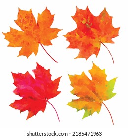 Conjunto de hojas de otoño de imagen vectorial. Hoja de arce sobre fondo blanco. Imagen de hojas rojas. Ilustración folicular roja otoñal. Estilo acuarela. Clipart para tarjeta, logotipo y tarjeta de felicitación.