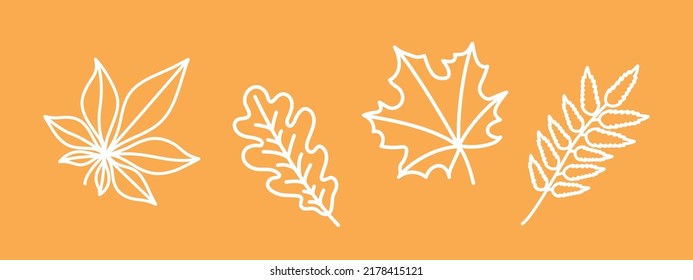 set of autumn leaves, white outline oak, maple, chestnut, rowan leaf, set of fall decorative drawing clip-art, doodle vector elements, orange background