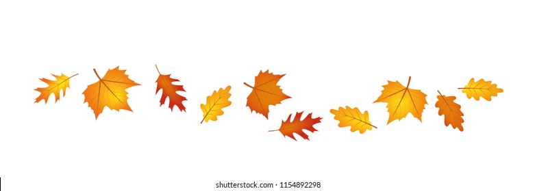 set of autumn leaves in the wind vector illustration EPS10