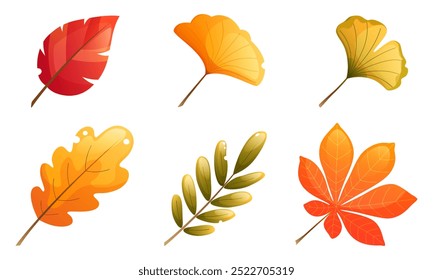 Herbstblätter, gelb, rot, orange. Ginkgo, Eichenblatt, Birkenblatt, Eichenblatt, Ahornblatt. ClipArt für das Herbstdesign von Postkarten, Postern, Broschüren.