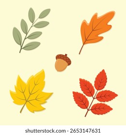 Conjunto de folhas de outono nas cores amarela, vermelha, laranja e marrom e bolota. Ilustração do vetor da estação de outono.