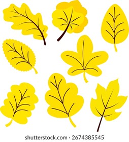 Conjunto de hojas de otoño amarillo sin fondo