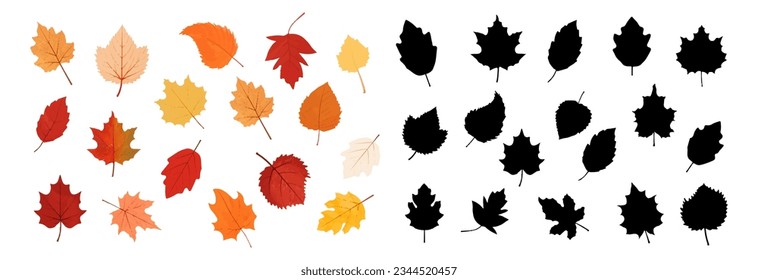 Set of autumn leaves.Colorful and black leaf icons collection. Watercolor autumn leaves.Maple leaf.Black siihouette leaf icons collection.