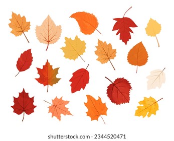 Set of autumn leaves.Colorful leaf icons collection. Watercolor autumn leaves.Maple leaf.