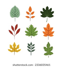 Set of autumn leaves.Flat vector illustration