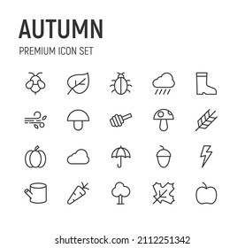 Set of autumn line icons. Premium pack of signs in trendy style. Pixel perfect objects for UI, apps and web. 