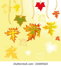 set autumn maple gold and red leavse