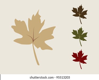 Set of Autumn Maple Leafs.