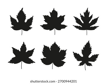 Set of autumn maple leaves. Black silhouettes on a white background. Spring, summer, or fall collection foliage. Vector illustration