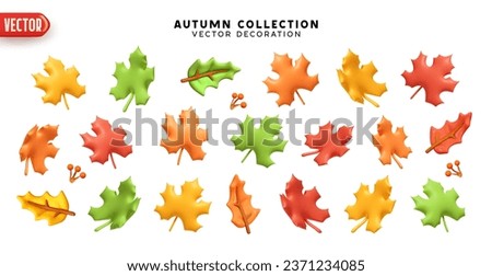 Set of autumn maple leaves on a white background. Realistic 3d cartoon plastic style. Decorative elements for seasonal compositions. Leaves colors yellow, green, red, orange. vector illustration