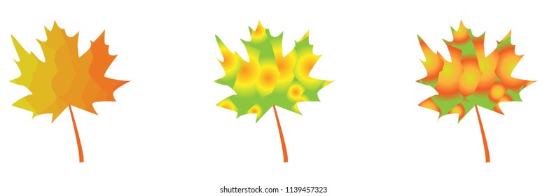 A set of autumn maple leaves. Vector illustration