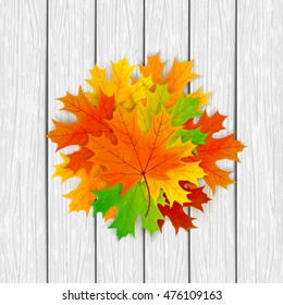 Set of autumn multicolored maple leaves on white wooden background, illustration.