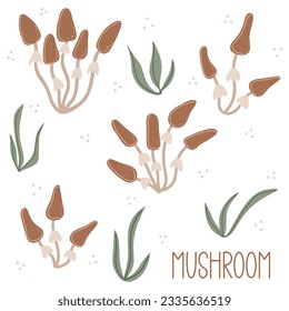 Set of autumn mushroom. Hand drawn elements for autumn decorative design, halloween invitation, harvest or thanksgiving. Vector illustration