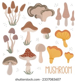 Set of autumn mushroom. Hand drawn elements for autumn decorative design, halloween invitation, harvest or thanksgiving. Vector illustration