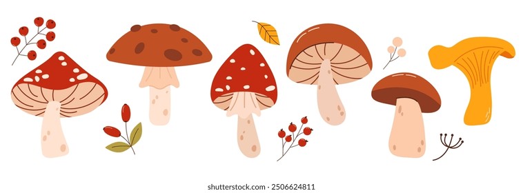 Set of with autumn mushrooms and branches with berries. Fall, Thanksgiving Day. Hand drawn mushrooms in warm natural fall colors isolated on white. Vector illustration - autumn themes