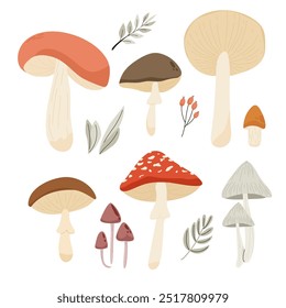 Um conjunto de cogumelos de outono. Cogumelos florestais comestíveis e venenosos. Colheita florestal de outono. Chanterelles, bolete vermelho, amanita, verbo branco, boleto. Ilustração botânica de vetor plano