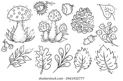 Set autumn mushrooms leaves nuts cones hand drawn graphic set on a white background