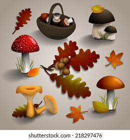 Set of autumn mushrooms and oak leaves, acorns, maple, birch leaves and a basket to collect mushrooms. Vector illustration.