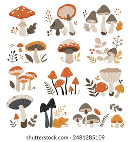 A set of autumn mushrooms.Forest wild mushrooms types.Poisonous and edible mushroom, chanterelle, cep, amanita and truffle isolated vector illustration set.