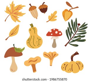 Set of autumn nature elements. Forest objects: Leaves, mushrooms, acorns, pumpkins. Fresh farm. Harvest elements. Vector illustration in cartoon style