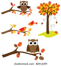 Set of autumn nature elements: owls and birds on branches and oak tree