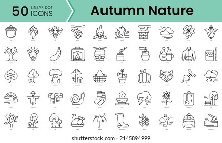 Set of autumn nature icons. Line art style icons bundle. vector illustration